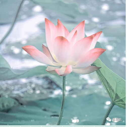 定了！今年居民醫保繳費標準每人每年350元！